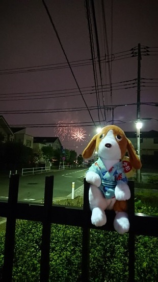 2019花火