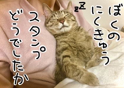 犯人の写真