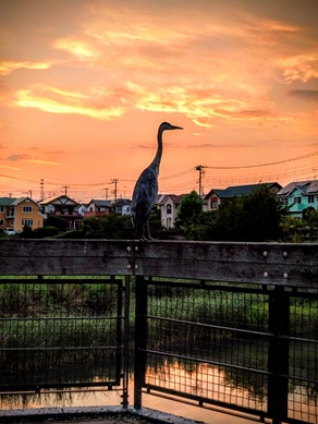 202508夕散歩