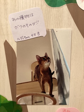 2025深見ルディ