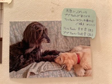 2025廣瀬フィルププ