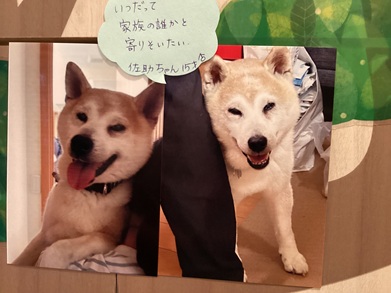 2025今村佐助
