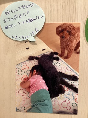 2025倉本レモン