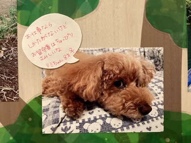 2025松本ミミ