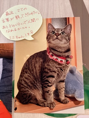 2025村田ミミ