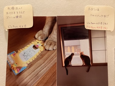 2025酒井じんさくら