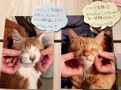 2025佐藤ハクビン