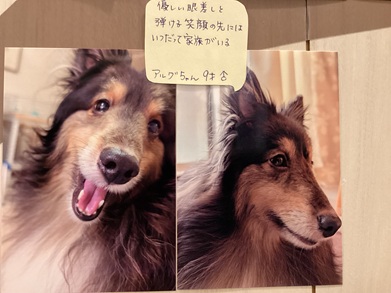 2025澤田アルグ
