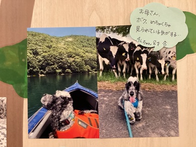 2025諏訪AL