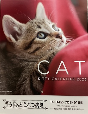 2026猫カレンダー