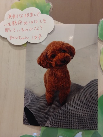 2026浜田あん