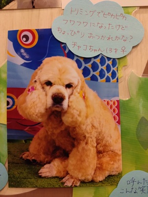 2026廣橋チャコ