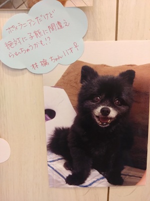 2026北野林檎