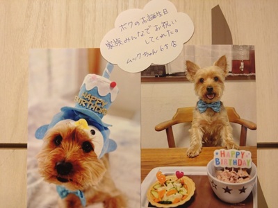 2026本村ムック