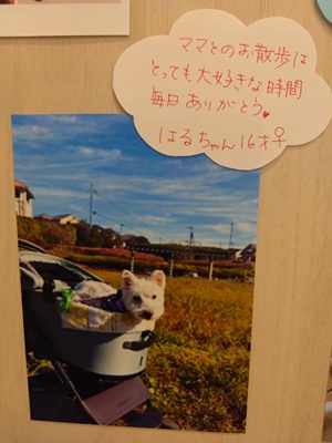 2026中居はる