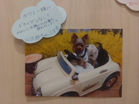2026齋藤心太郎