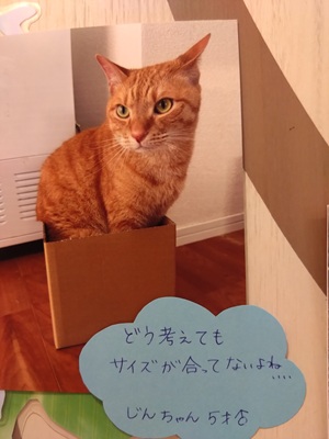 2026酒井じん