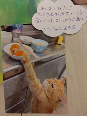 2026佐藤ビン