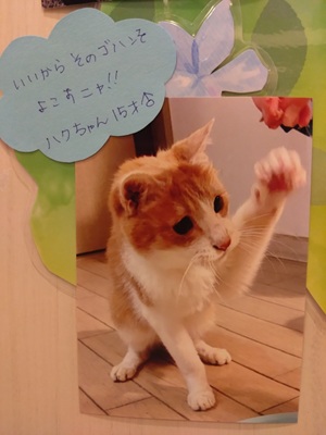 2026佐藤ハク