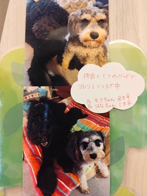 2026園部モナはな
