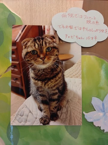2026多田チョビ