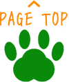 PageTop